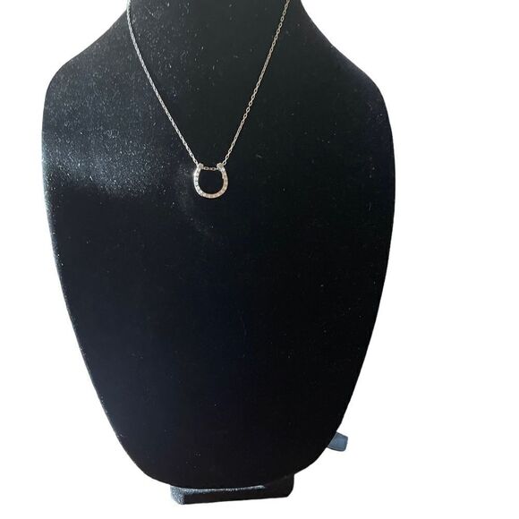 Good Luck Silver-tone Rhinestone Horseshoe Necklace (NWOT) - Picture 4 of 6